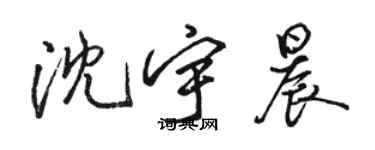 駱恆光沈宇晨行書個性簽名怎么寫