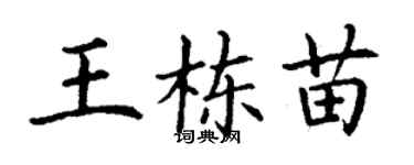 丁謙王棟苗楷書個性簽名怎么寫