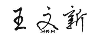 駱恆光王文新行書個性簽名怎么寫