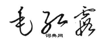 駱恆光毛紅霞草書個性簽名怎么寫