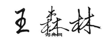 駱恆光王森林行書個性簽名怎么寫