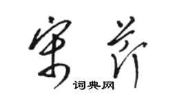 駱恆光宋芹草書個性簽名怎么寫