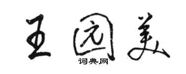 駱恆光王園美行書個性簽名怎么寫