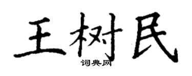 丁謙王樹民楷書個性簽名怎么寫