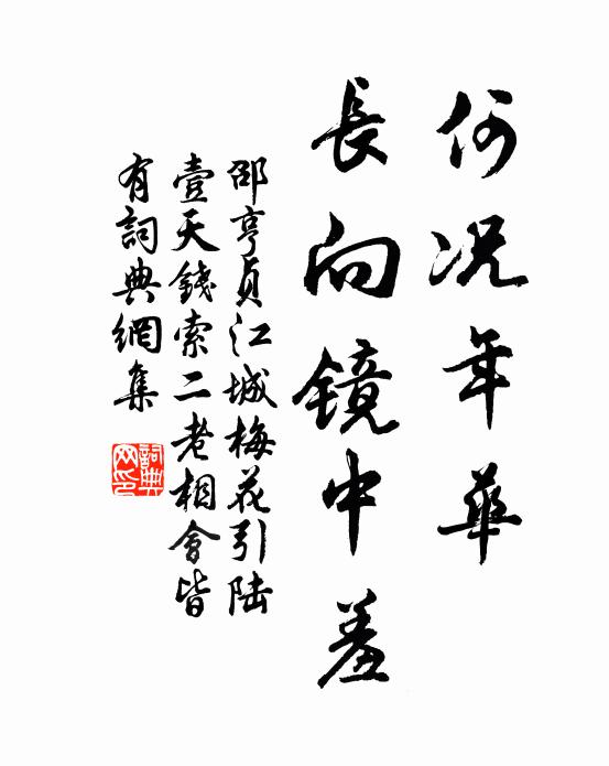 邵亨貞何況年華,長向鏡中羞書法作品欣賞