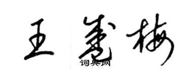 梁錦英王盛梅草書個性簽名怎么寫