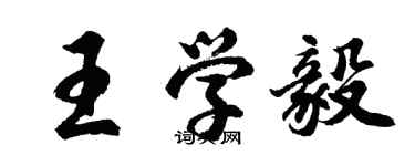 胡問遂王學毅行書個性簽名怎么寫