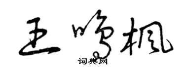 曾慶福王鳴楓草書個性簽名怎么寫