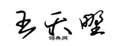 朱錫榮王夭野草書個性簽名怎么寫