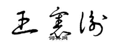 曾慶福王憲衡草書個性簽名怎么寫