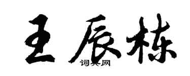 胡問遂王辰棟行書個性簽名怎么寫