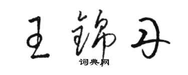 駱恆光王錦丹草書個性簽名怎么寫