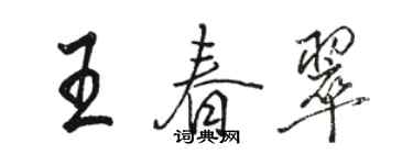 駱恆光王春翠行書個性簽名怎么寫