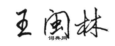 駱恆光王閩林行書個性簽名怎么寫