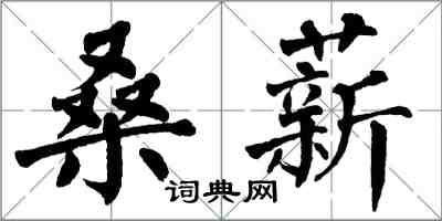 翁闓運桑薪楷書怎么寫