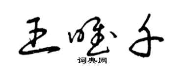 曾慶福王唯千草書個性簽名怎么寫