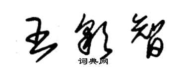 朱錫榮王彩智草書個性簽名怎么寫