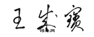 駱恆光王成寶草書個性簽名怎么寫