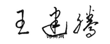 駱恆光王建騰草書個性簽名怎么寫