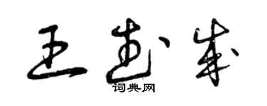 曾慶福王武成草書個性簽名怎么寫