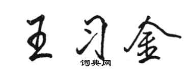 駱恆光王習金行書個性簽名怎么寫