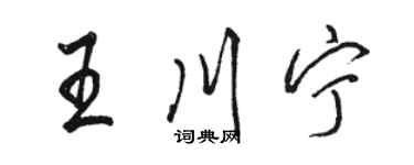 駱恆光王川寧行書個性簽名怎么寫