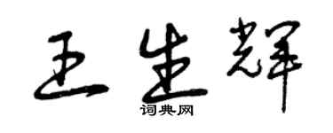 曾慶福王生輝草書個性簽名怎么寫