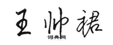 駱恆光王帥裙行書個性簽名怎么寫