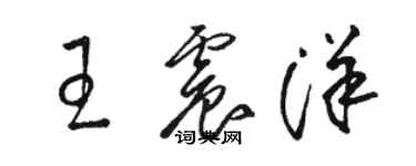 駱恆光王震洋草書個性簽名怎么寫