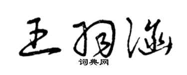 曾慶福王羽涵草書個性簽名怎么寫