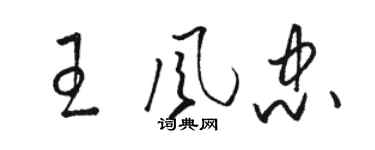 駱恆光王風忠草書個性簽名怎么寫