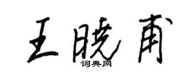 王正良王曉甫行書個性簽名怎么寫