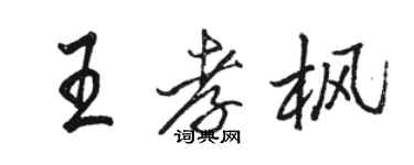 駱恆光王孝楓行書個性簽名怎么寫