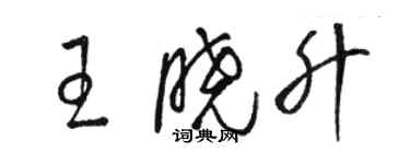 駱恆光王曉升草書個性簽名怎么寫