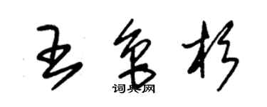 朱錫榮王魯杉草書個性簽名怎么寫