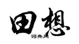 胡問遂田想行書個性簽名怎么寫