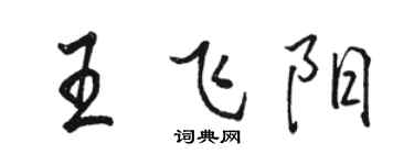 駱恆光王飛陽行書個性簽名怎么寫