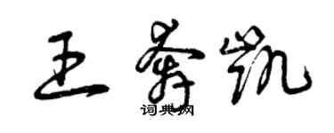 曾慶福王奔凱草書個性簽名怎么寫