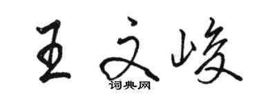 駱恆光王文峻行書個性簽名怎么寫