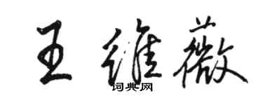 駱恆光王維薇行書個性簽名怎么寫