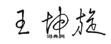 駱恆光王坤旋草書個性簽名怎么寫