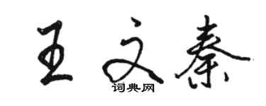 駱恆光王文秦行書個性簽名怎么寫