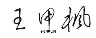 駱恆光王甲楓草書個性簽名怎么寫