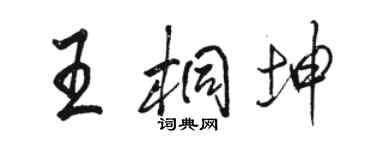 駱恆光王桐坤行書個性簽名怎么寫