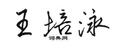 駱恆光王培泳行書個性簽名怎么寫
