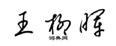 梁錦英王柳暉草書個性簽名怎么寫