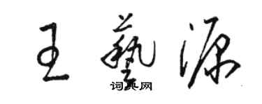 駱恆光王藝源草書個性簽名怎么寫