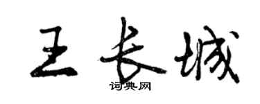 曾慶福王長城行書個性簽名怎么寫
