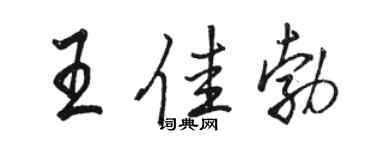 駱恆光王佳勃行書個性簽名怎么寫
