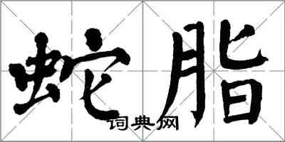 翁闓運蛇脂楷書怎么寫